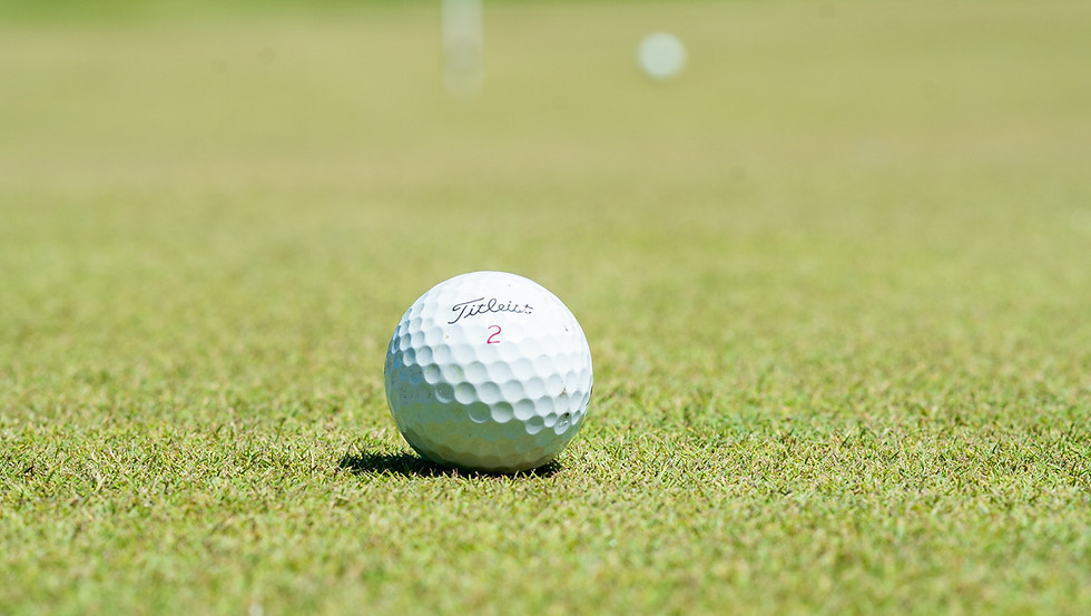 Image by Courtney Cook