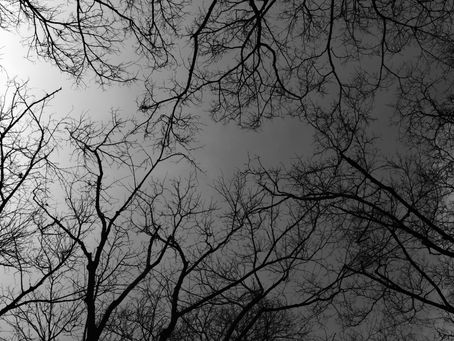 정읍 업소 - 정읍 업소사이트 지역별 총정리