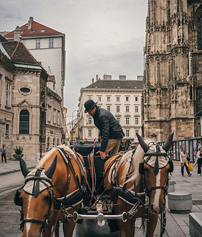 Image by Luigi Boccardo