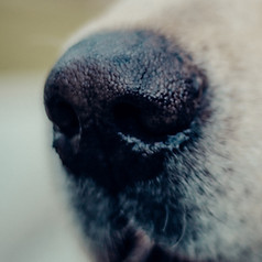 Image by Prashant Gupta