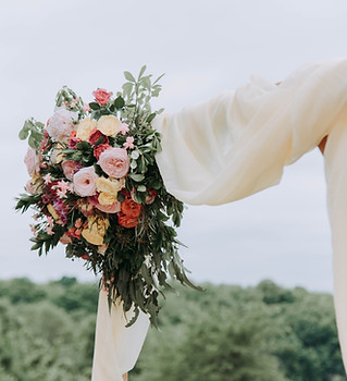 Image by Samantha Gades