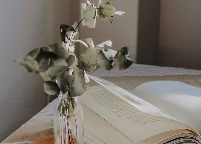 Image by Melnychuk Nataliya