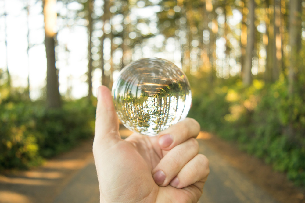 holding clear crystal ball daylight in forest