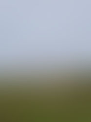 MME autoriza antecipação de operação de térmica para reforçar segurança energética nacional