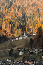 Image by Matteo Vella