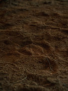 Image by Chris Bair