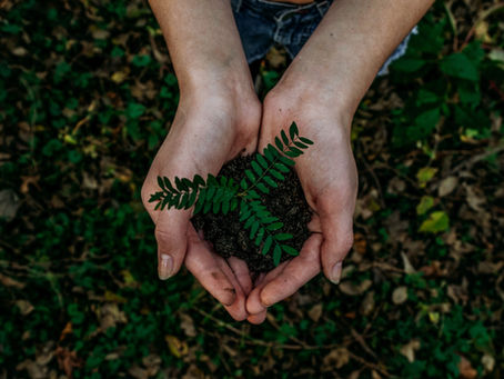 New Moon in Taurus: Value Your Ability to Speak Your Inner Truth to Know Thyself