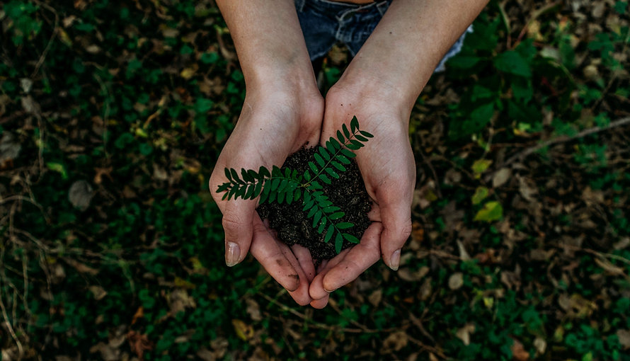 Image by Noah Buscher