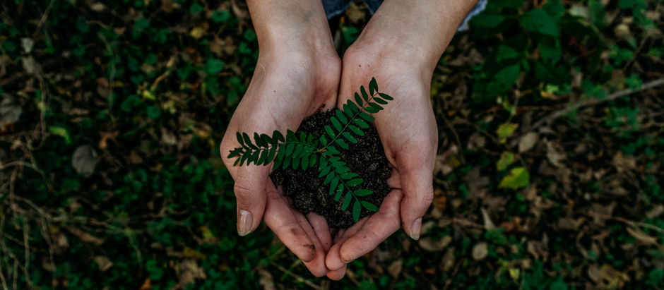 Help the Earth to Help Us