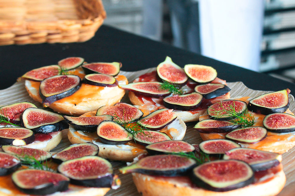 Mediterranean Fig