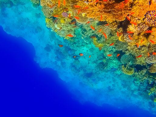 Change Is the Only Constant in Software Systems