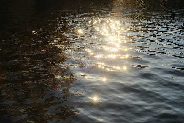 Image by Margarita B