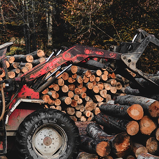 image of logs being stacked