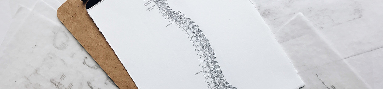Image by Joyce McCown