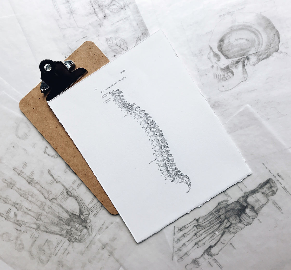 Close-up treatment room imagery with soft neutral tones and anatomical drawings laid across a surface