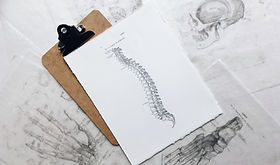 Illustration médicale montrant une colonne vertébrale bien alignée pour l’étude posturale