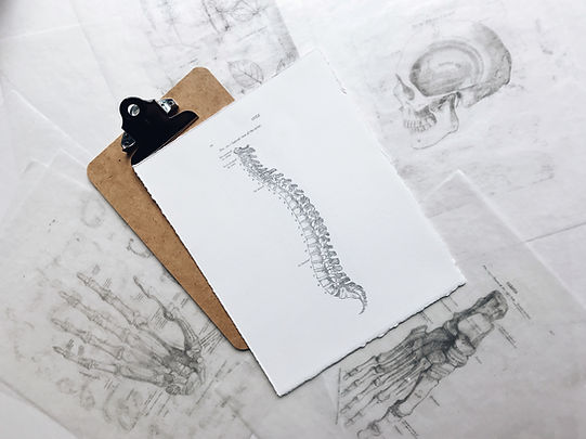 Hudson Valley Spine Care, Spinal Decompression DTS