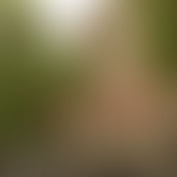 Guide pour réussir votre candidature à la PNP