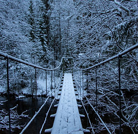 Image by Lasse Nystedt