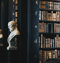 Image by Giammarco Boscaro