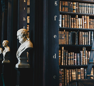 Image by Giammarco Boscaro