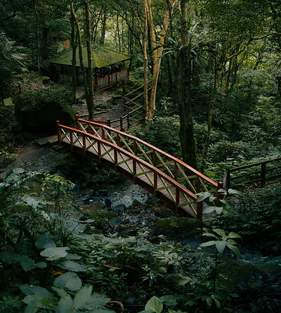 Image by Chris Yang