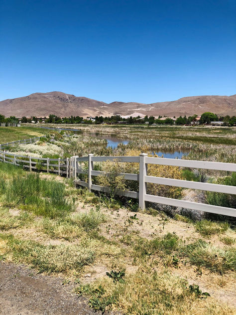 Reno Nevada