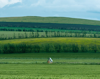 Image by d z