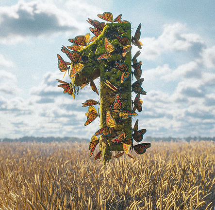 Image by Pascal Garten