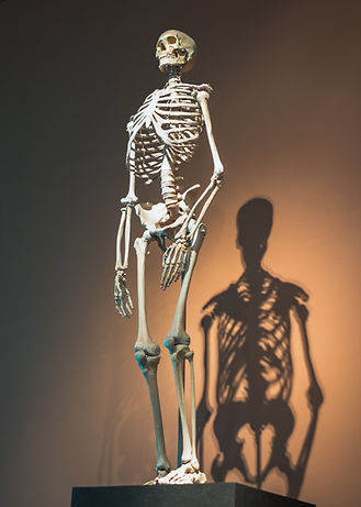 Image by Michael Heise