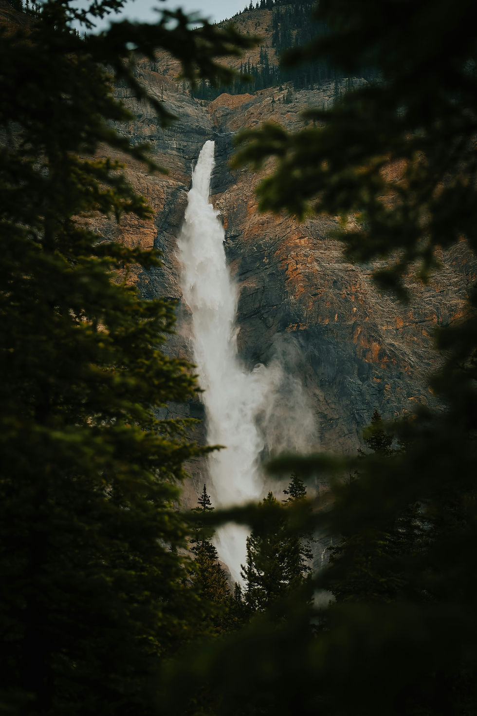 Image by Michael McKay