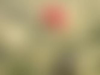 הספד לשגיא מזהר