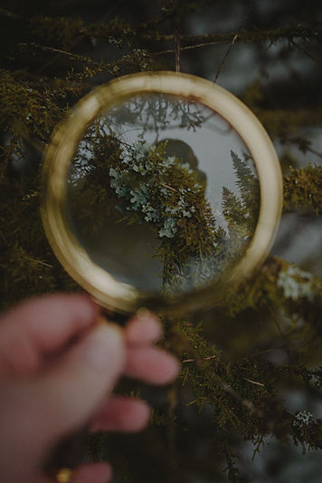 Image by Vasilina Sirotina