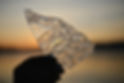Image by Liana S