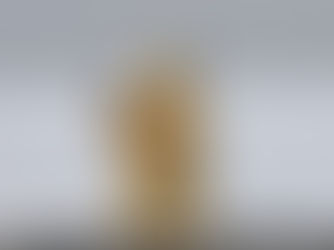 Many, Many Souls on Ice