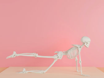 Myofascial Mobility: The New Secret to Cross-training Dancers to Improve Ballet Technique 