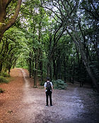 Diverging forest trail symbolising the free will choice between service to self and service to others