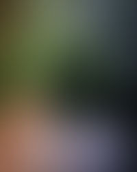 Choosing our Beliefs