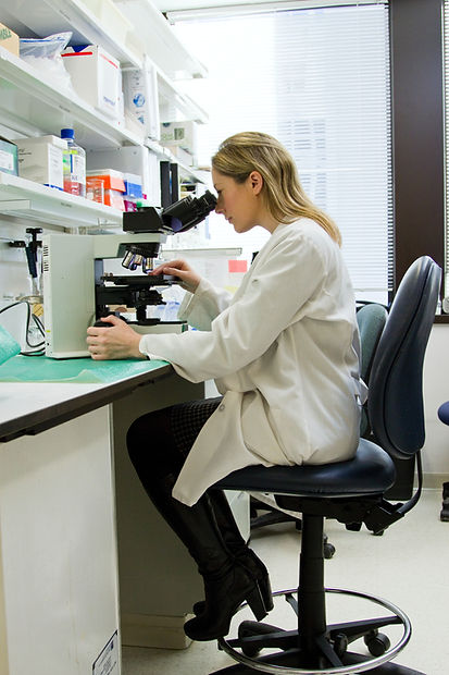 Image by National Cancer Institute
