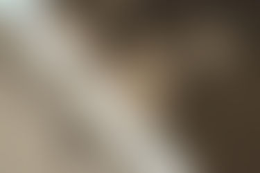 Contemporary rustic interior design: a modern twist on rustic