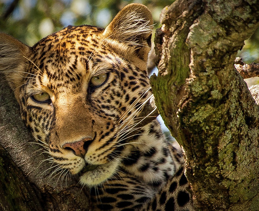 Image by Rémi Boudousquié