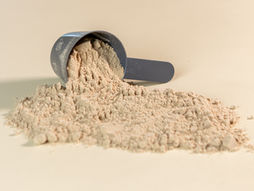 Protein powder
