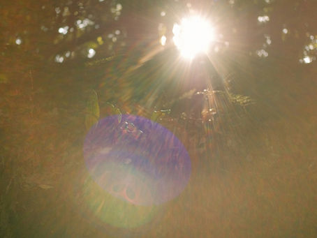 What Are Orbs? A Spiritual Guide to These Mysterious Lights and Their Meanings