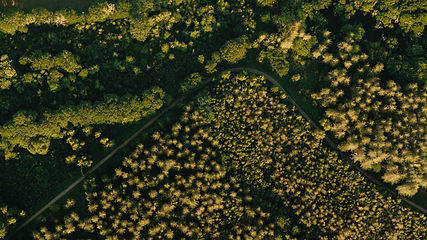 Image by Jordy Muñoz
