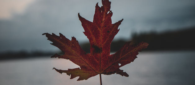 ELEVER SON MENTAL POUR ELEVER SA VIE