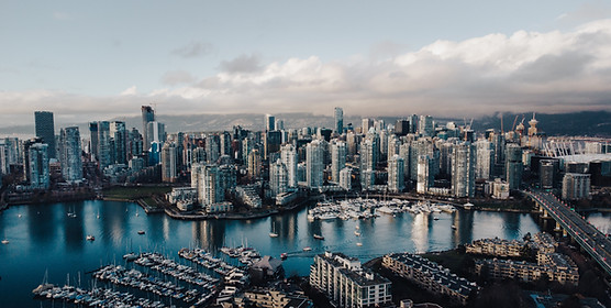 Image by Matt Wang