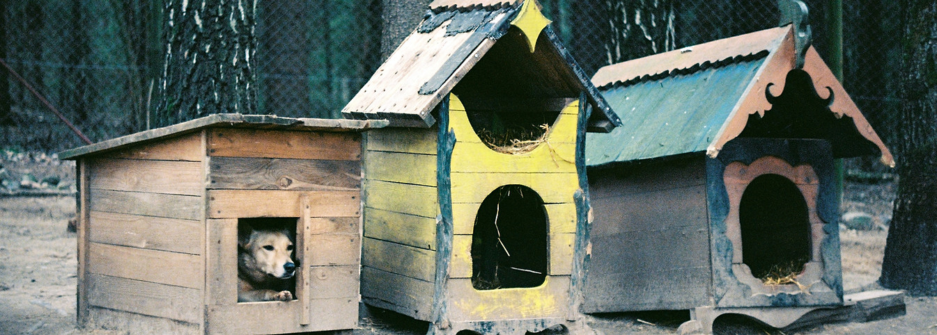 Image by Jana Shnipelson