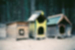 Image by Jana Shnipelson