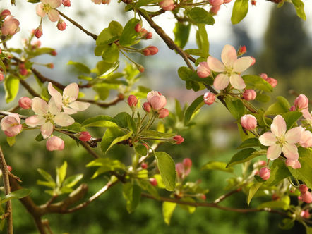 Spring’s Renewal — and the Overwhelm Farmers Carry