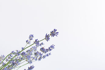 Image by Olga Tutunaru